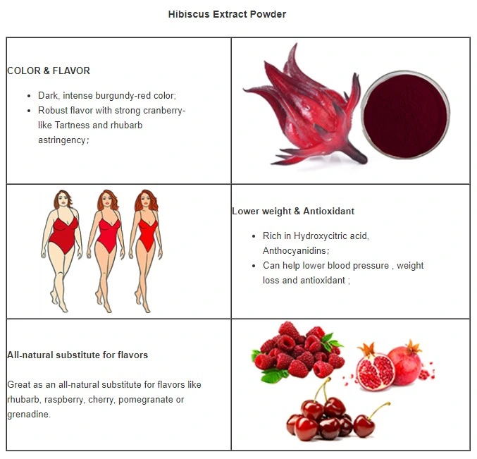 Organic Hibiscus Extract Alcohol-Free and Clean Label