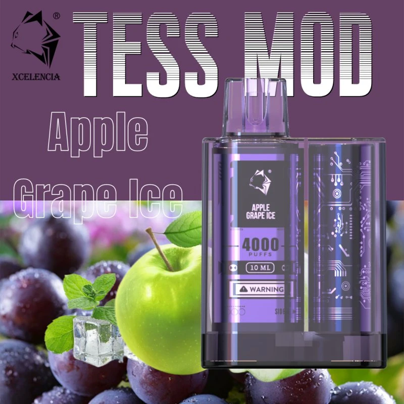 Tess Mod The World First 2 Flavors in 1 Disposable/Chargeable Vape Pen