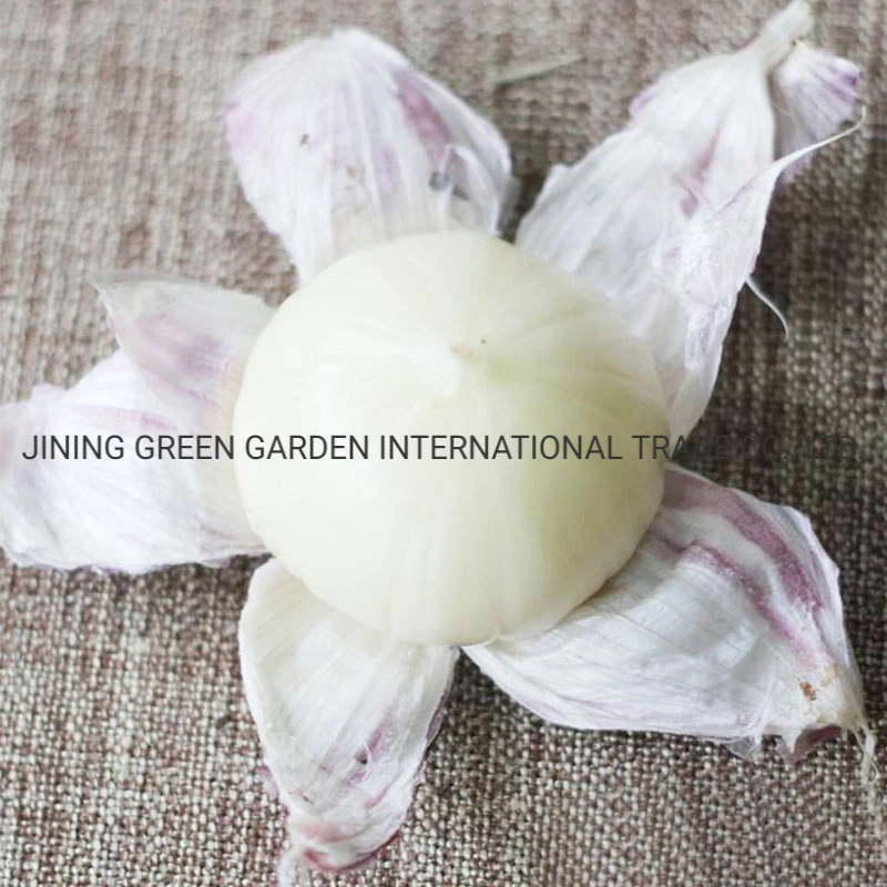 Single Clove Garlic New Crop China Origin Top Quality Free Sample