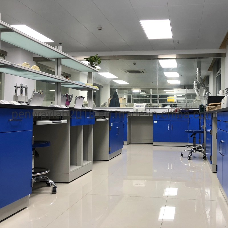 Acero pintado completo laboratorio de ciencias Workbench Mobiliario Escolar
