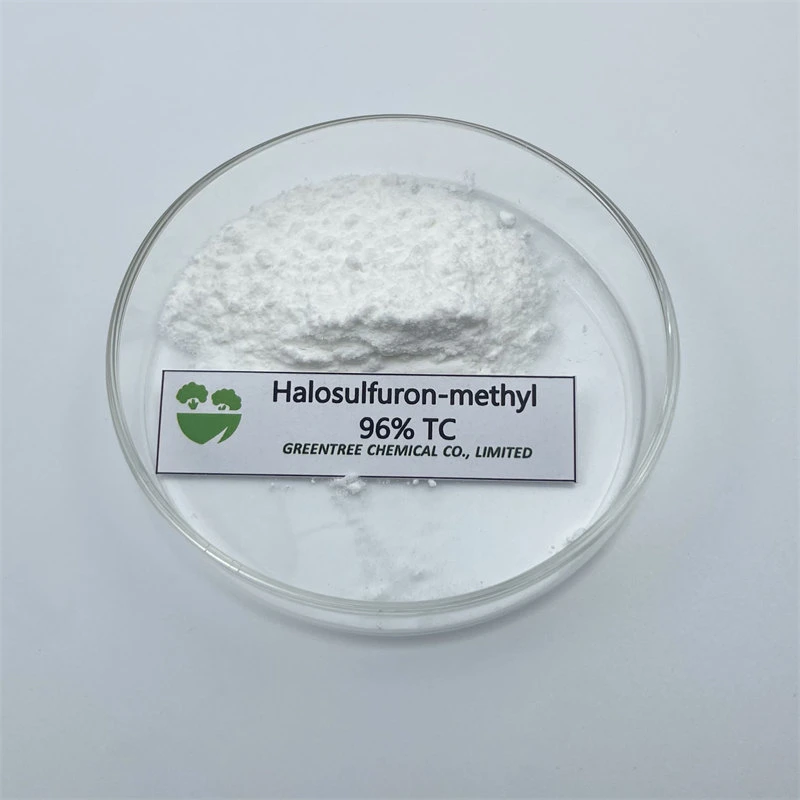 Herbicide pour le maïs blé canne à sucre Paddy Lawn Halosulfuron-Methyl 96% TC