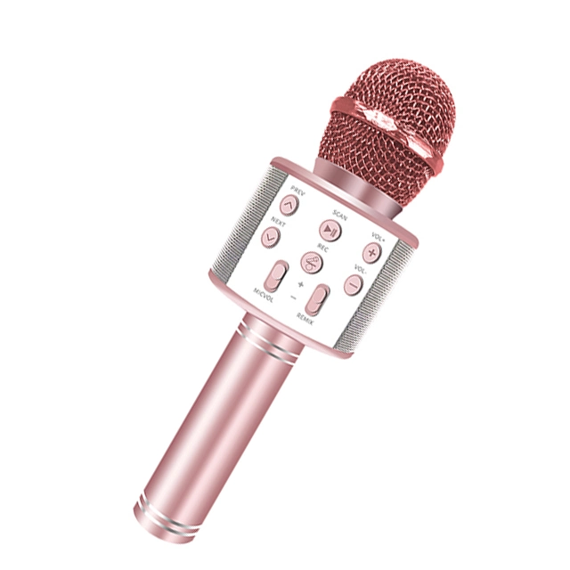 Ws858 Wireless Karaoke Microphone Professional Microfone Speaker Handheld Studio Microphone for Smartphone