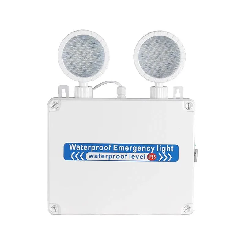 Wholesale/Supplier Waterproof IP65 Non Maintained Emergency Fixture with Twin Floodlights