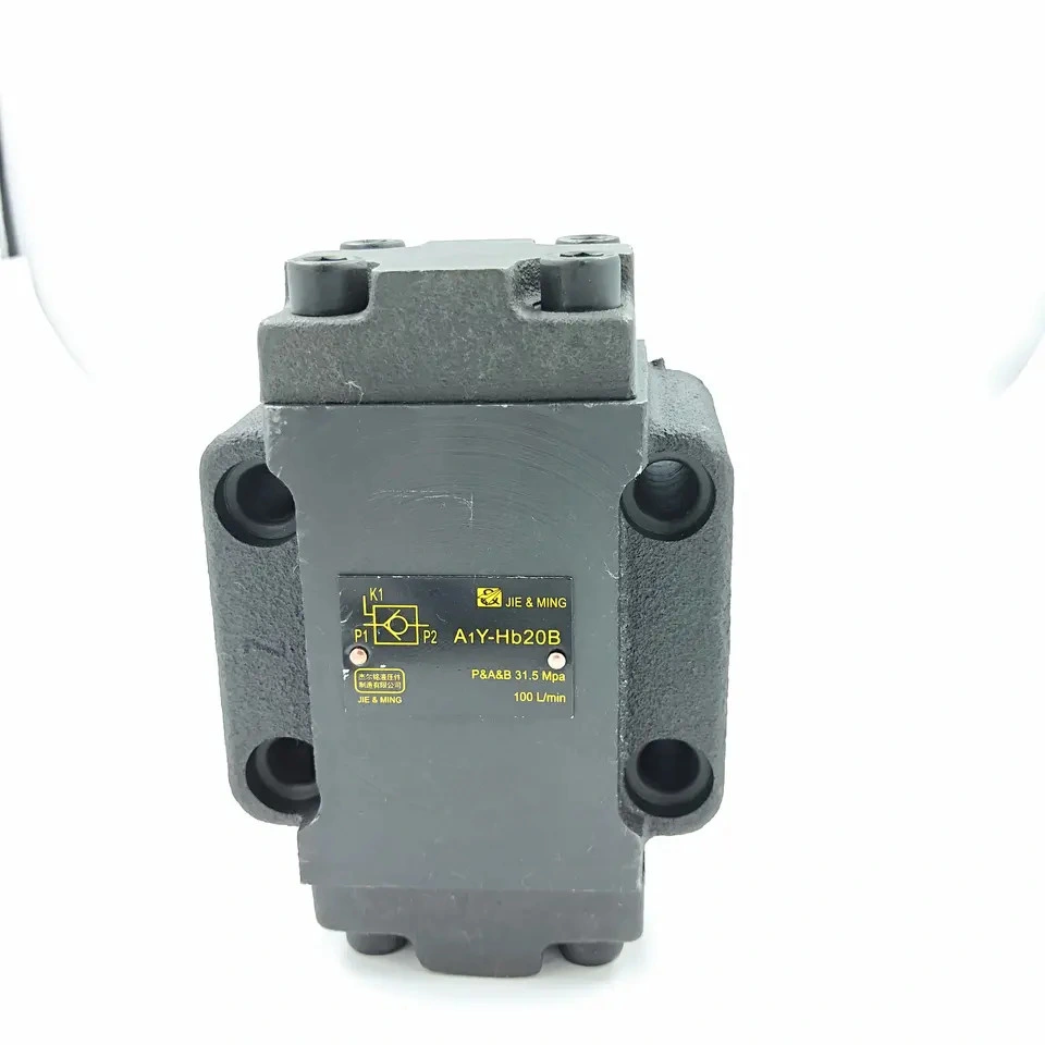 Hydraulic Lock Valve A1y-H10b A1y-Hb10b A1y-Ha20b A1y-Hb20b A1y-Hb20by2-HD10 Pilot Operated Check Valve