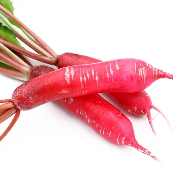 World Well-Being Biotech ISO&FDA Certified Food Additive Natural Color Food Pigment Radish Red Color