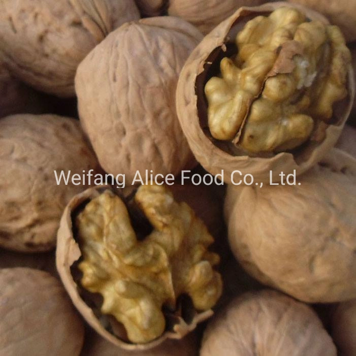 China Wholesale/Supplier New Crop Size 28mm/30mm/32mm up Easy Cracked Walnut in Shell
