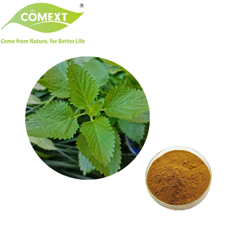 Comext ISO Factory Lyphar Supply Directly 100% 5: 1 10: 1 20: 1 Natural Melissa Extract Lemon Balm Extract