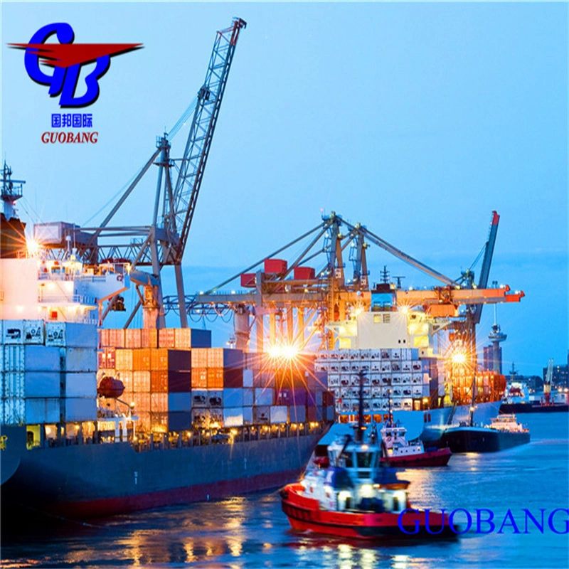 The Professional Sea Shipping Service From China to Europe Ports