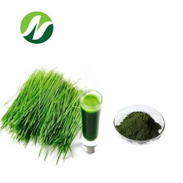 Hot Sale Wholesales Natural Wheat Grass Juice Powder