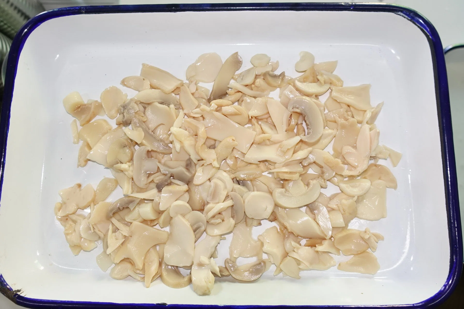 Chinese Wholesale/Supplier Easy Open Canned Oyster Mushroom Pieces & Stems in OEM