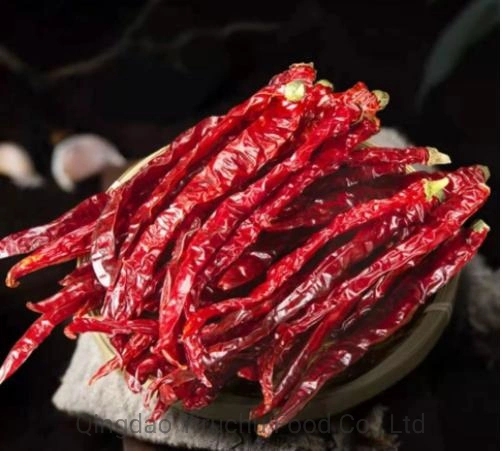 High quality/High cost performance  Factory Supply Red Dry Chilli