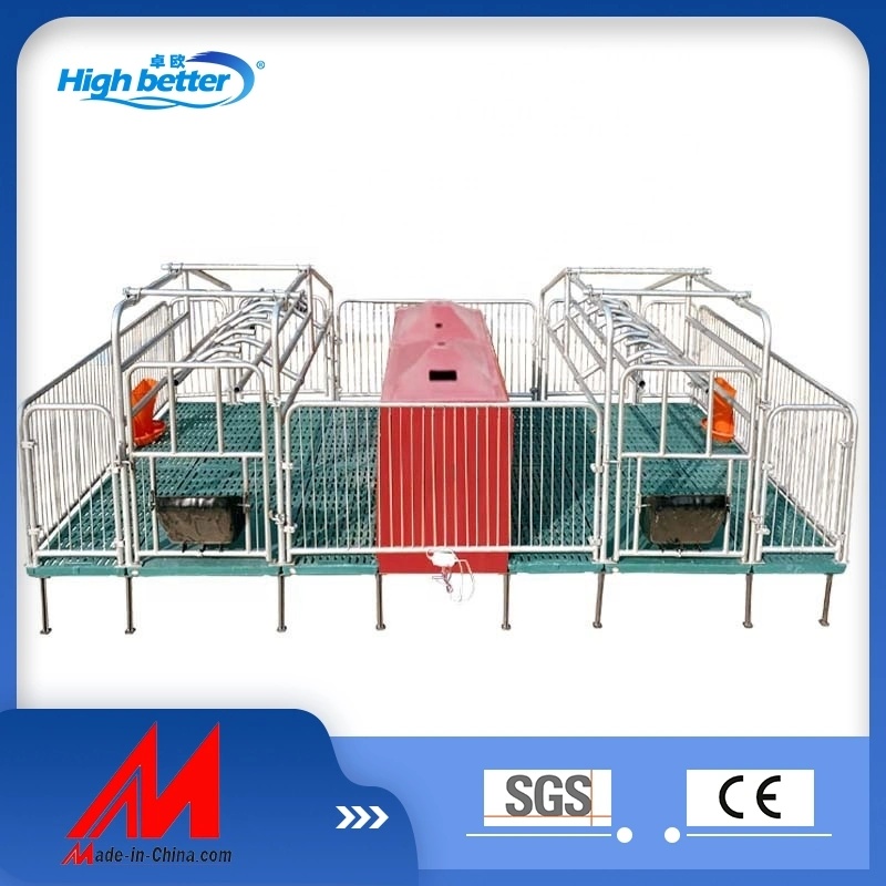 Pig Farrowing Crates Pen Pig Flooring Stall Farrowing Bed Sow Equipment