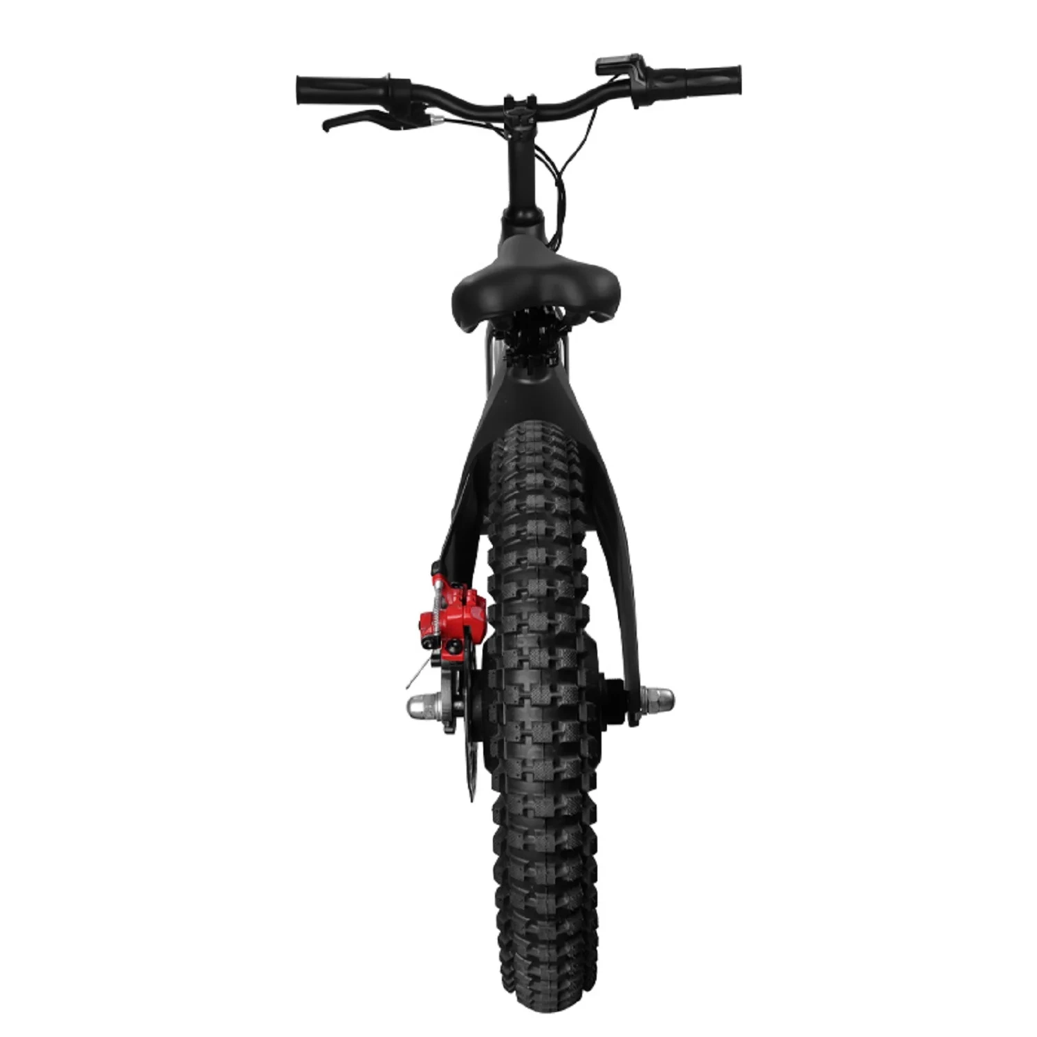 350W 48V Fat tire Off-Road moto électrique de montagne de terre pour Enfants enfants