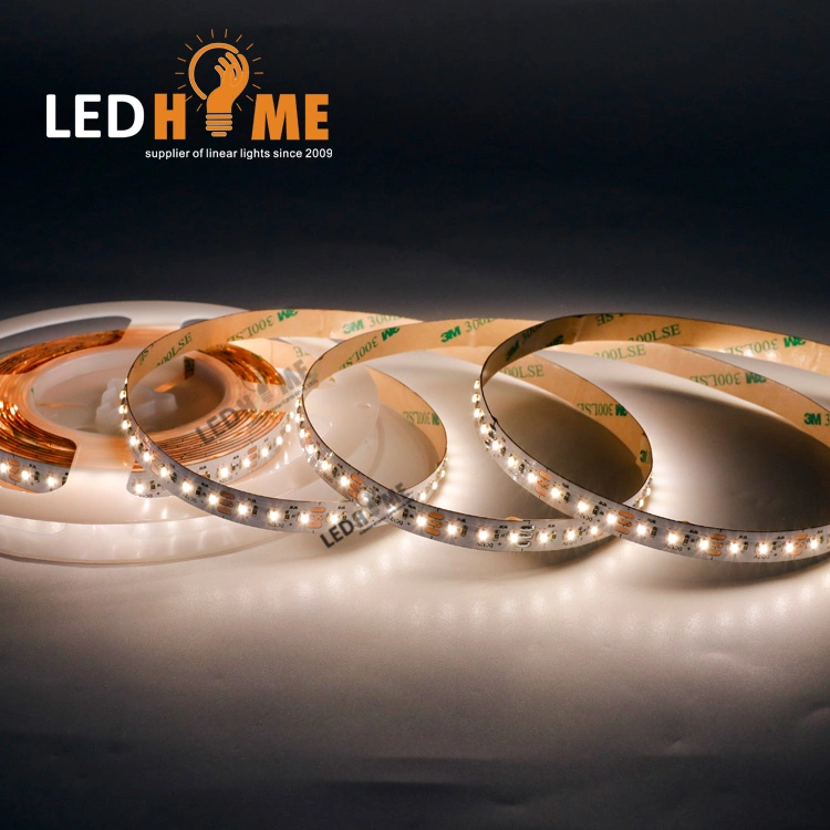 24V Dimmerble Flexible LED Strip with 240 LED Light and Lamp