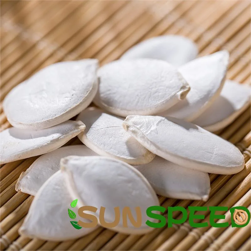 15cm Snow White Pumpkin Seeds Middle East Quality Jumbo Size