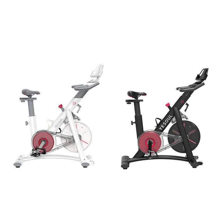 Home Fitness Spin Bike/Commercial Indoor Training Home Gym Fitness Equipment/Exercise Machine Magnetic Spinning Exercise Bikes/Sports Bike/Stationary Bike