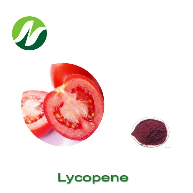 Natural Herbal Extract Dietary Supplement 5.0%~96.0% Lycopene Powder