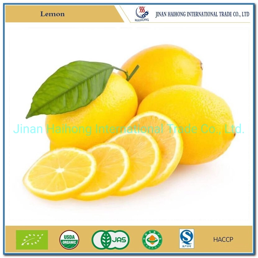 Lemon All Season Fresh Fruit Citrus Yellow Lemon