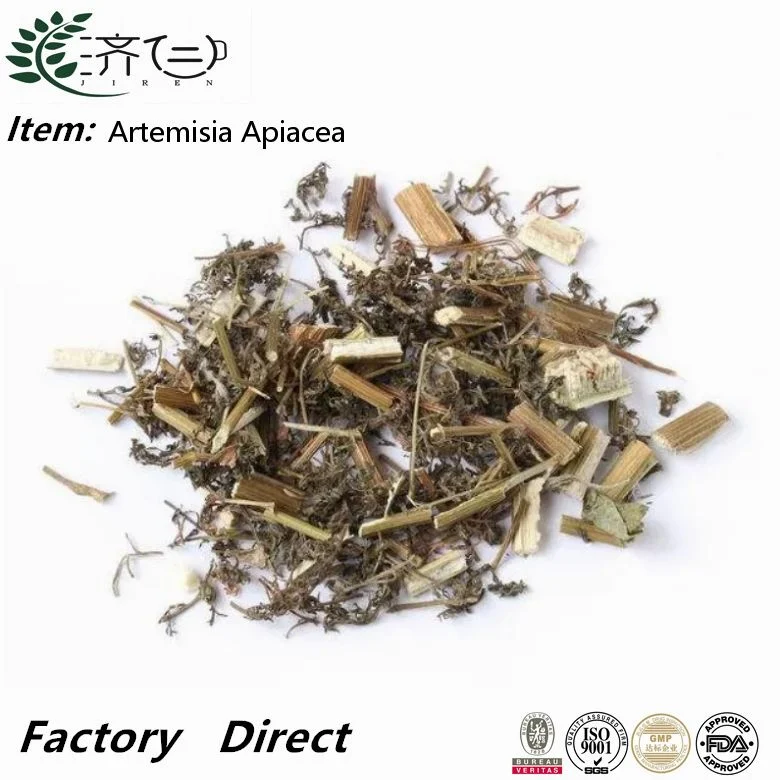 Medicina China tradicional directa Fabricante Artemisia Apiacea