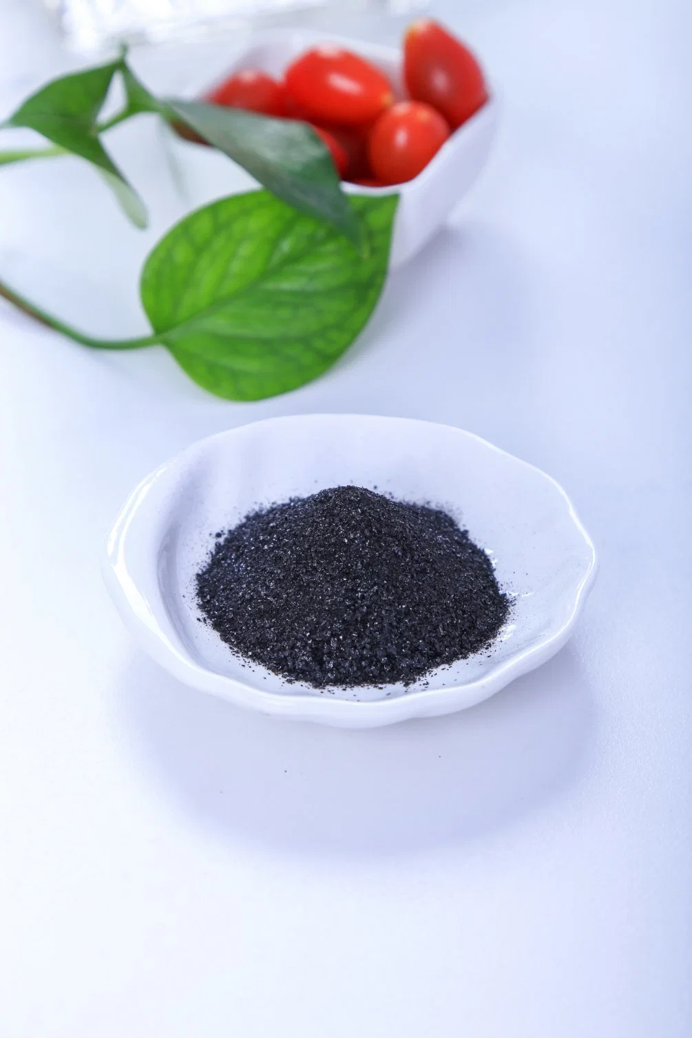 Mineral Source Humic Acid Biostimulant Potassium Humate Granular Oranic Fertilizer