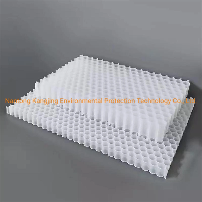 Custom Thicknesses Plastic Polypropylene Honeycomb Material