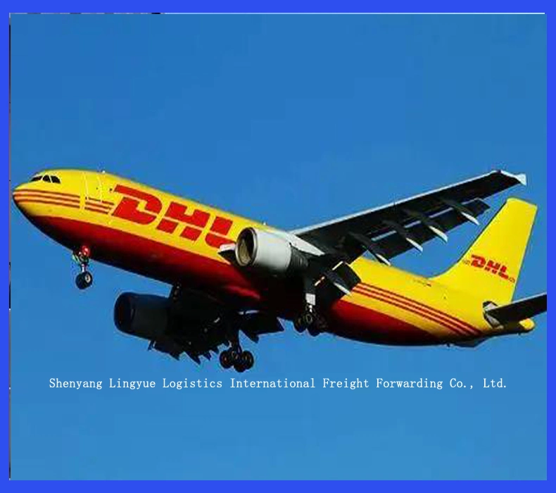 TNT DHL FedEx UPS Express Shipping Agent из Китая в США Великобритания Канада