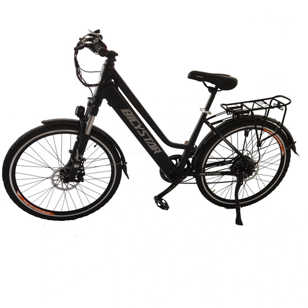 China City City 28 City 48V Classic Custom Design Electric Bike