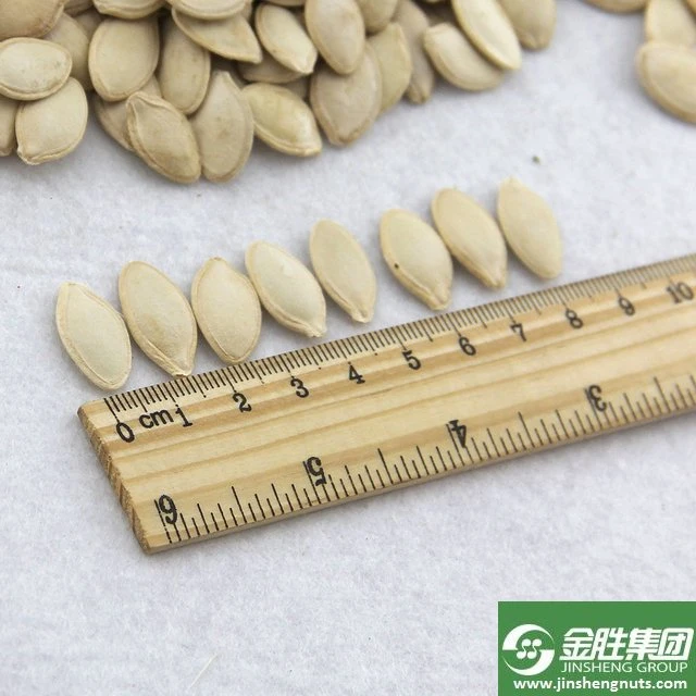China New Crop Snow White Pumpkin Seed Kernels