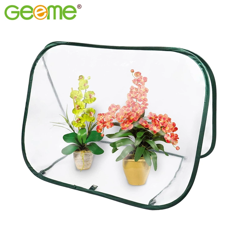 Supply Amazon Mini Greenhouse Clear Plastic Cover Flower House Portable Pop up Grow Tent for Outdoor Garden Plants