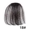 Alileader Hot Sale Brazilian Remy Clip in Extension Bangs, Top Quality Wholesale/Supplier Cheap 100% Human Hair Fringe for Ladies'beauty