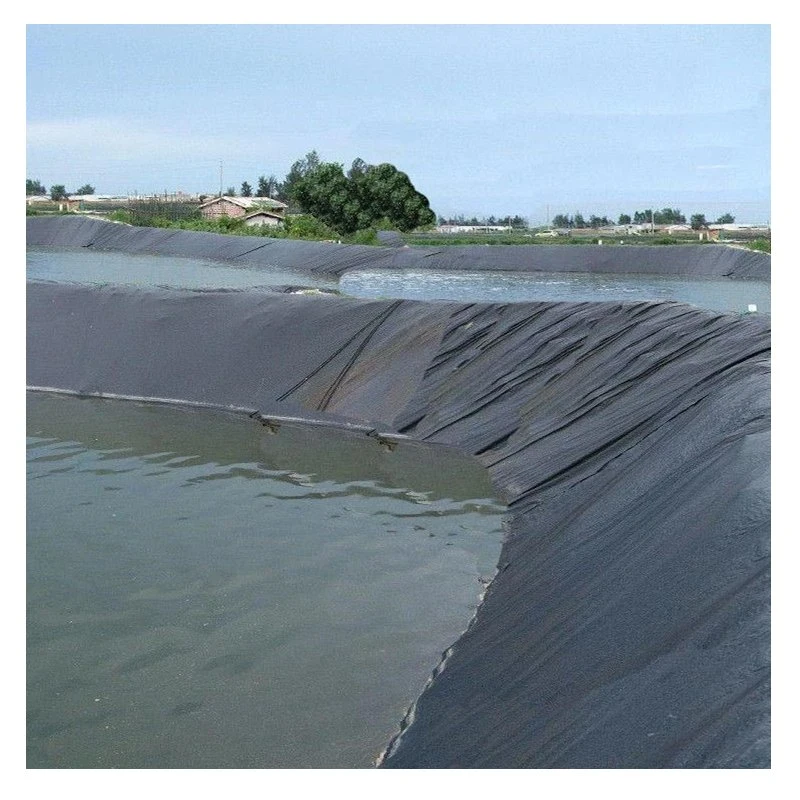 Geomembrane Waterproofing Liners Swimming Pool Fish Pond Geomembrane