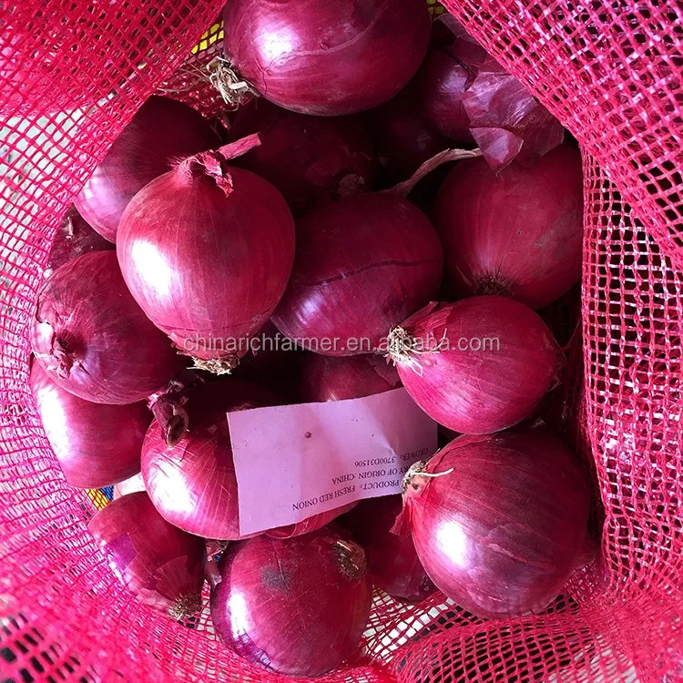 Frische rote Zwiebel mit guter Qualität