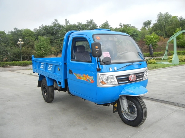 WUZHENG Closed Cargo Diesel Motorized 3-Wheel Tricycle with Cabin From China