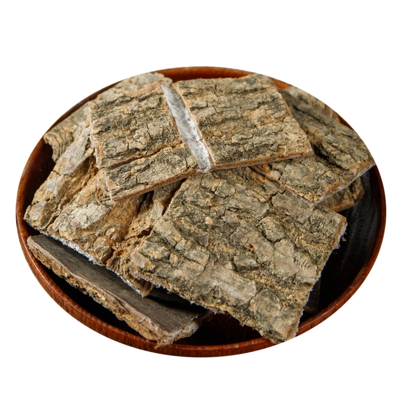 Chinese Oragnic Herbs Medicine Traditional Herbs Eucommia Ulmoides for Health