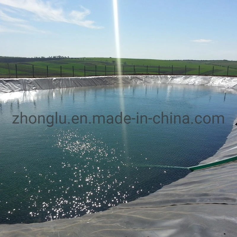 Smooth Textured Black Geomembrane Pond Liner ASTM Standard Geo Membrane Film for Channel Landscape River Levee Artificial Lake