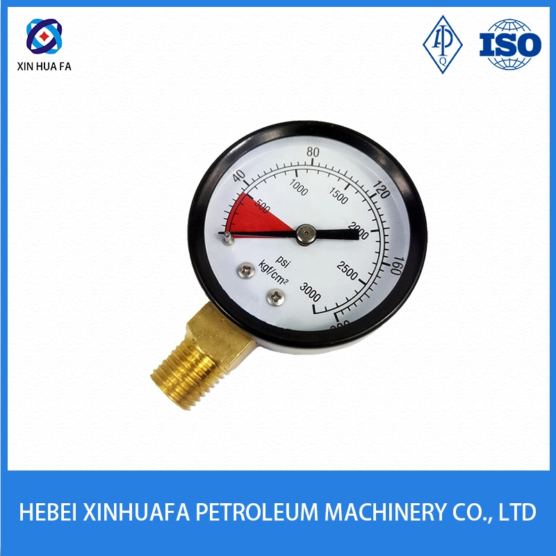Manómetro de acero inoxidable / manómetro bomba de lodo / Alto Instrumento de medición de presión