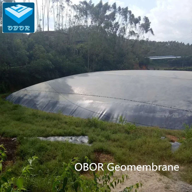 HDPE Geomembrane Biogas Digester Plant Storage Bag Tank Cover with Direct Factory Price China