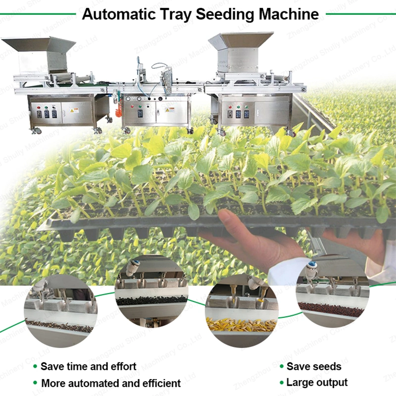 Máquina de plantação de cebola automática Viveiro Vegetal Máquina de Semeadura