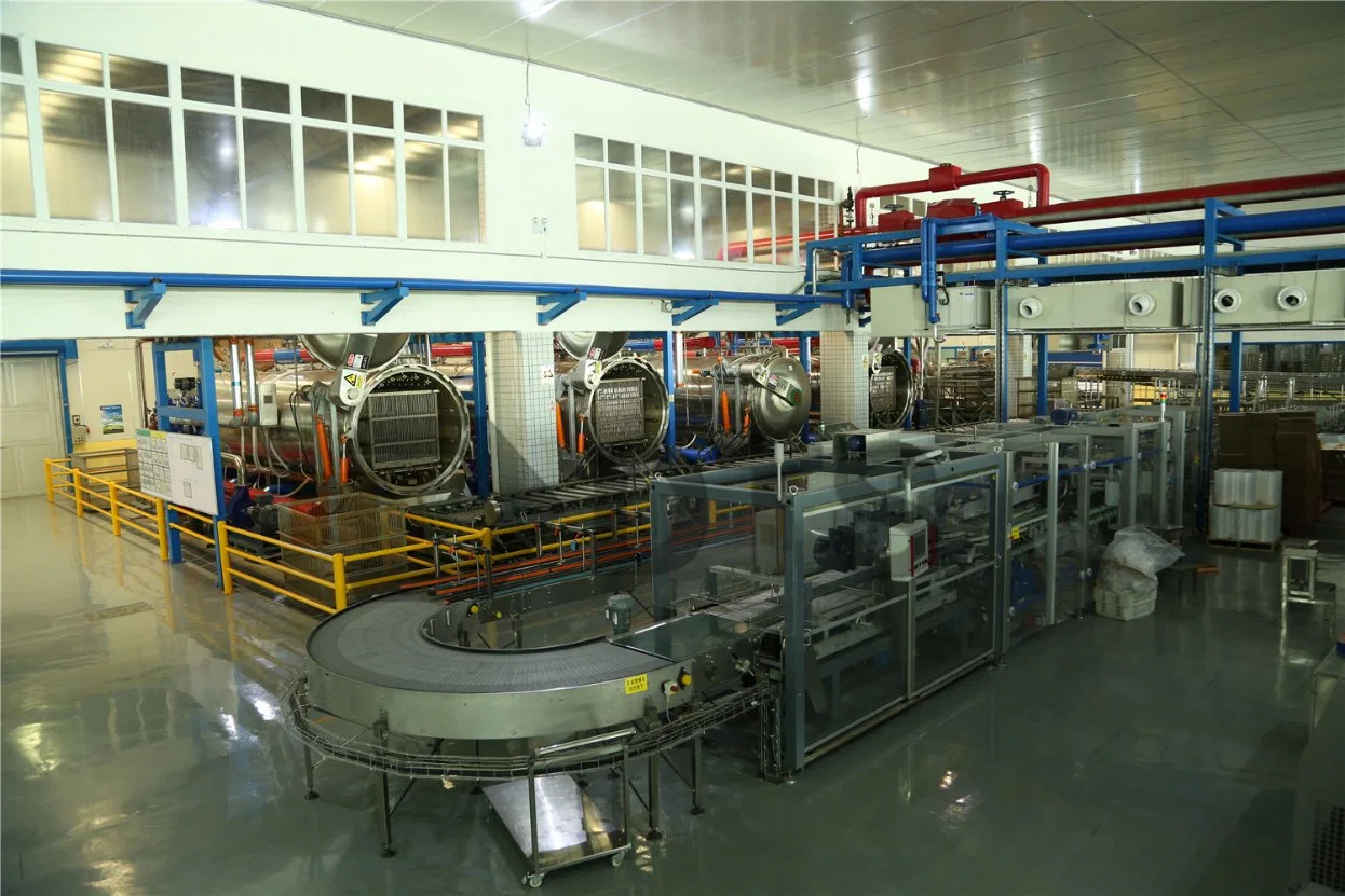 Steam Sterilizer/Sterilization Machine for Retort Pouches