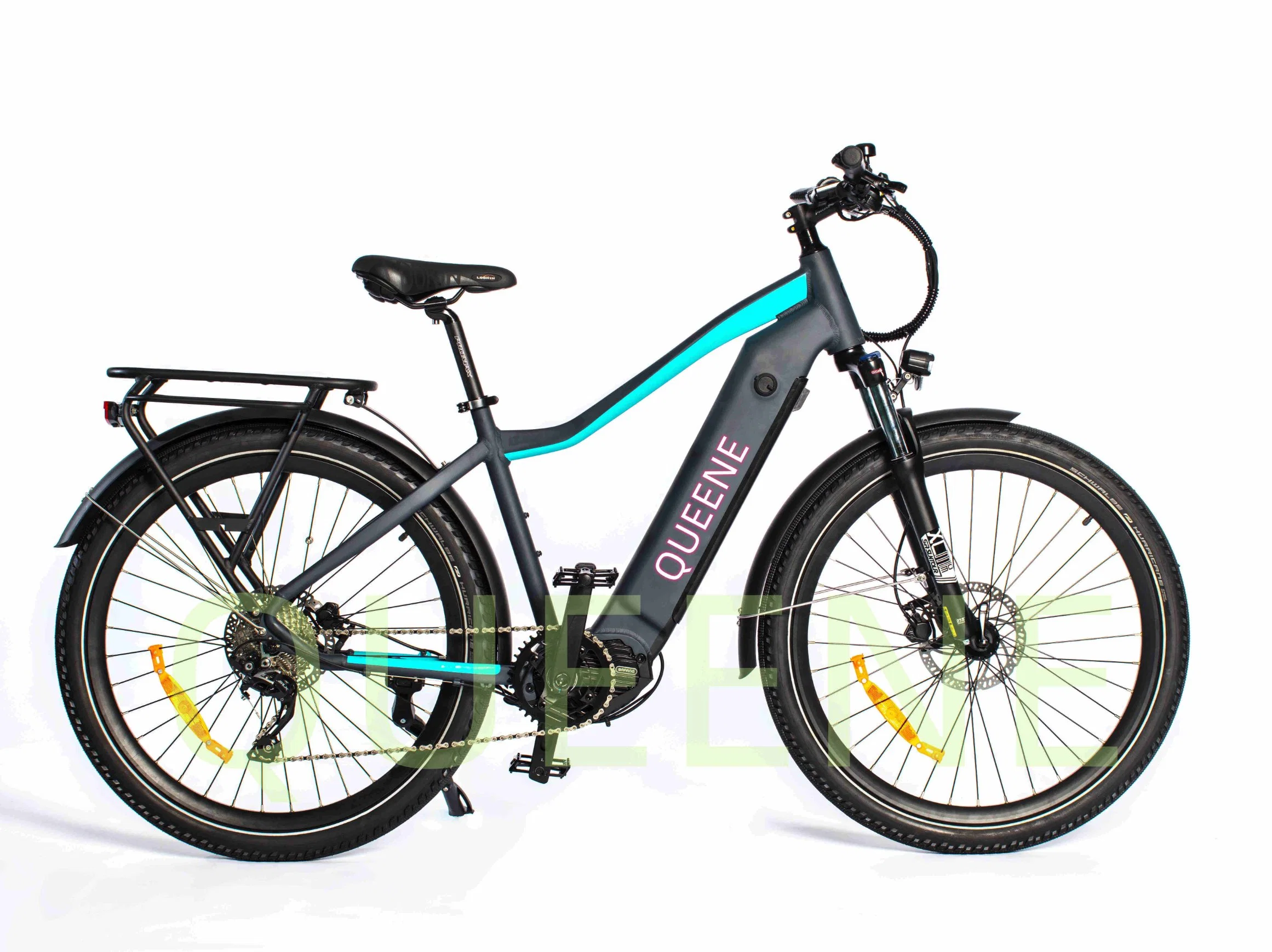 Queene 48V 500W/750W/1000W MID Drive Mountain Electric Bicycle MTB Bicycle Electric City Bicycle