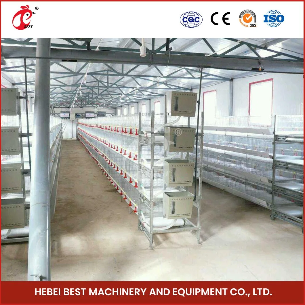 Bestchickencage China Large Mobile Chicken Coop Manufacturing H Frame Automatic Boriler Cages ODM Custom Waterproof Feature Movable Chicken Coops