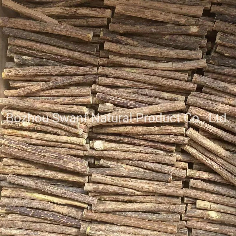 1kg Wholesale/Supplier Cat Toys Raw Cut Matatabi Sticks Segments Cat Teeth Cleaning Natural Silvervine Twigs Cat Chew Stick for Sale