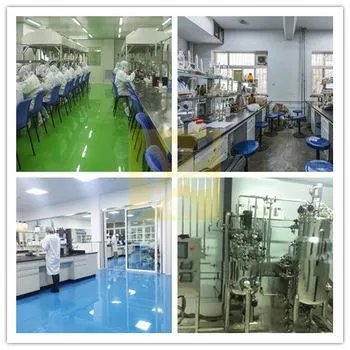 High quality/High cost performance  Veterinary Madicine CAS 1403-66-3 Gentamicin