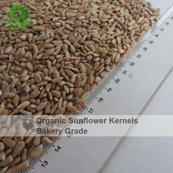 High quality/High cost performance  Chinese Peeled Sunflower Seeds Wholesale/Supplier