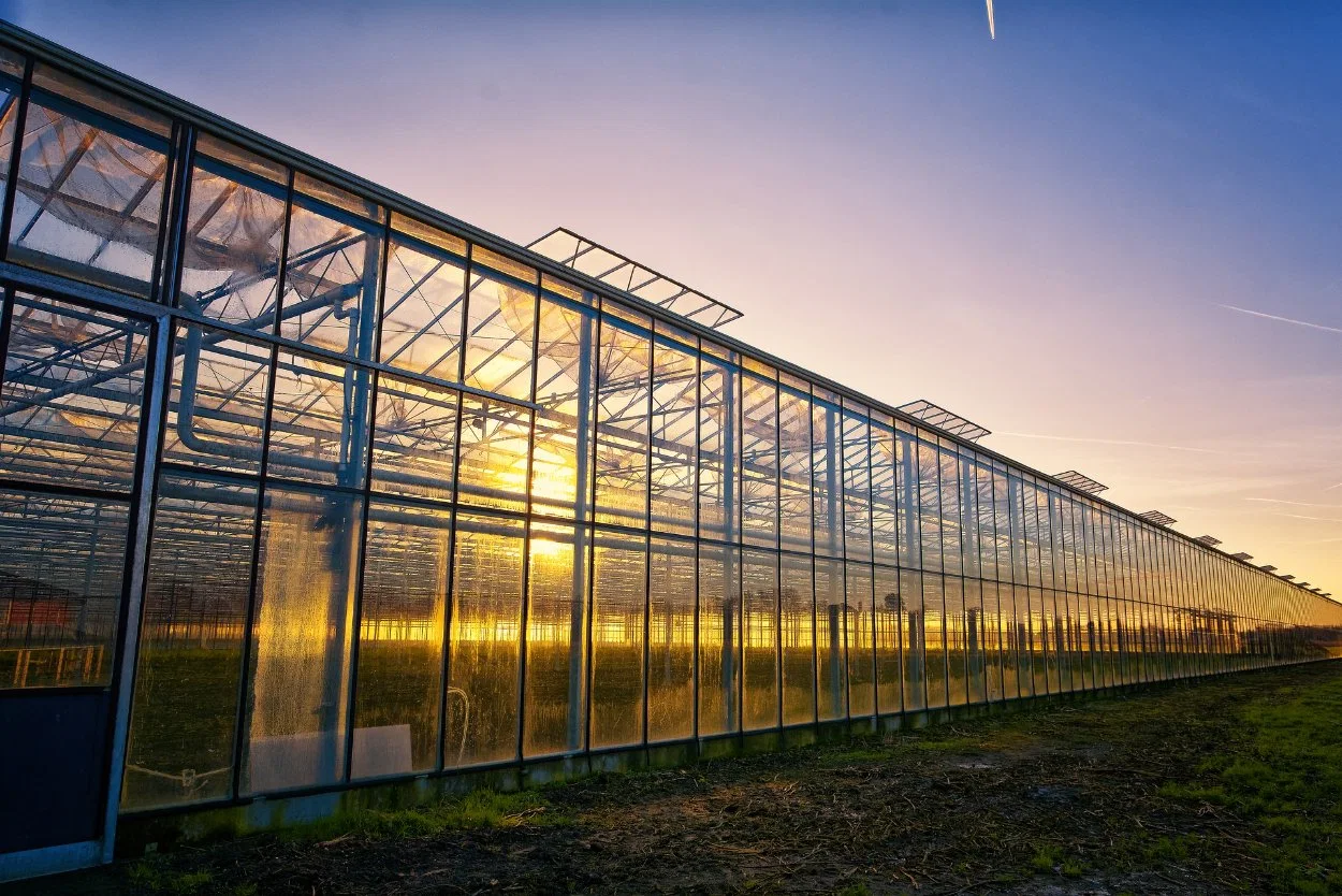 Modern Agriculture Multi-Span Customized Glass Greenhouse with Cooling System Heating System for Vegetables Fruits Flowers Tomato