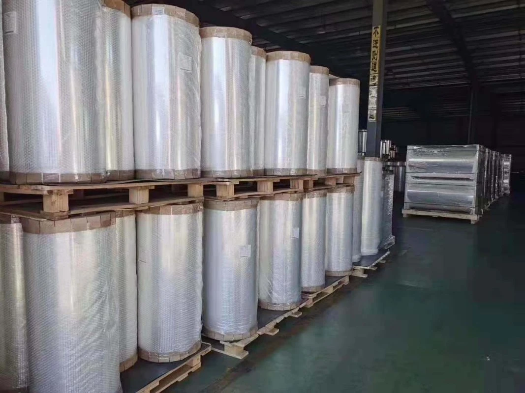 CPP Metallized CPP Film for Making Bag and Packaging