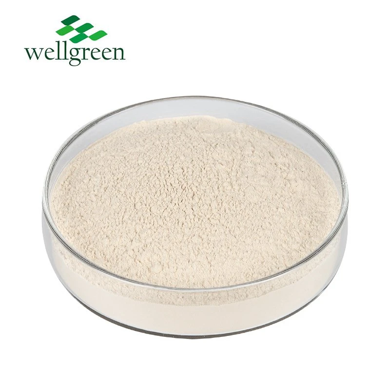 Muestra gratuita agua natural soluble para el suministro de leche de café Alimentos Grado Enzymolysis puro Oat polvo