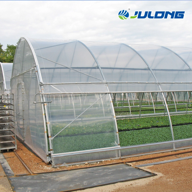 Smart Farm Hydroponics Growing System Single-Span Tunnel Film Greenhouse