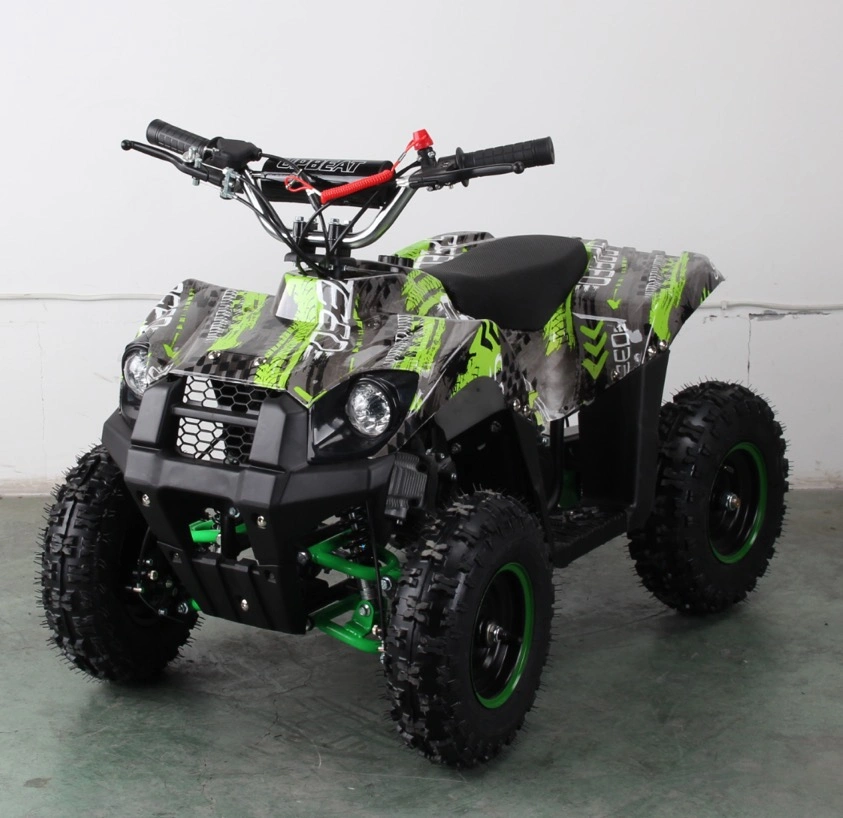 Ce Approval Electric ATV Quad with Speedmeter (et-eatv-053)