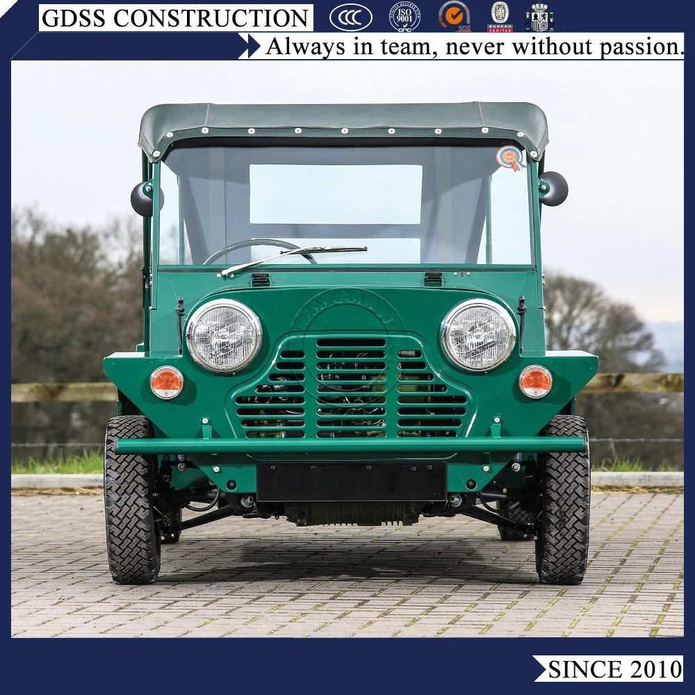 Benzin Power 600cc 4 Sitze Mini Moke JP Auto